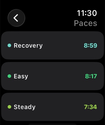 Training paces on the watch: recovery 8:59, easy 8:17, steady 7:34 per kilometre.